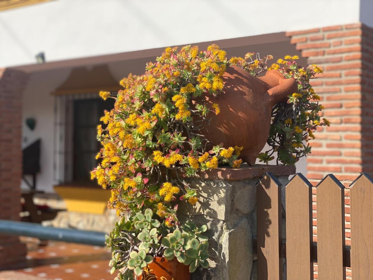 Casas Guemon Pension Zahora Buitenkant foto